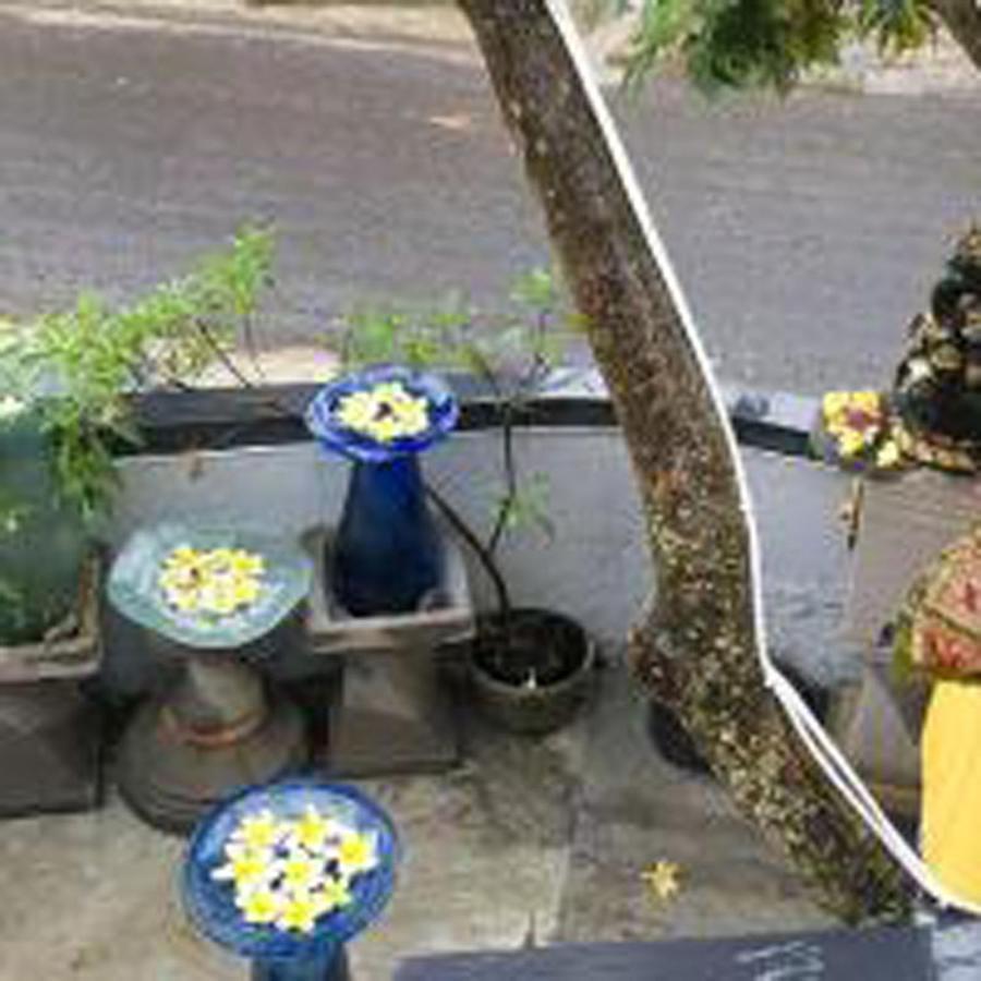 Bulan Bali Guest House أوبود المظهر الخارجي الصورة